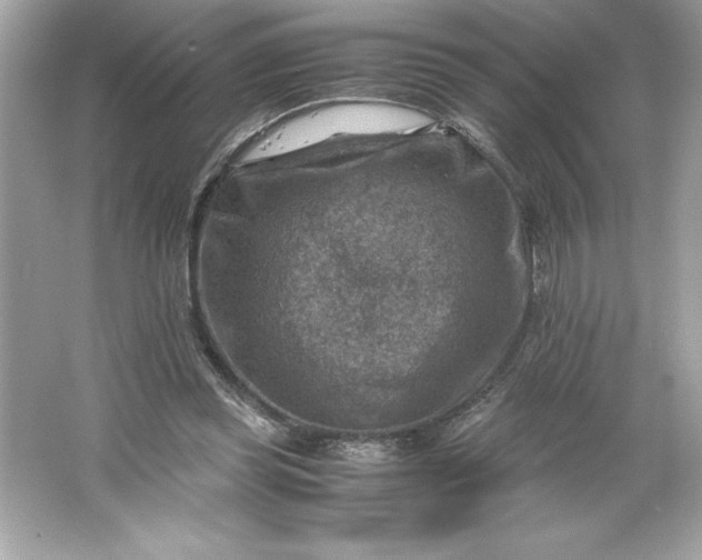 X0000066020349200603171537