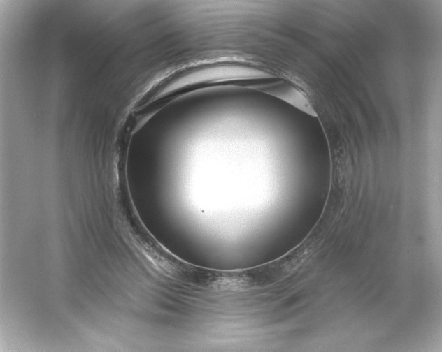 X0000066020350200603171537