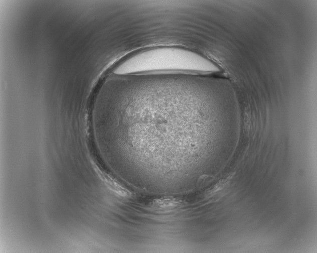 X0000066020351200603171537