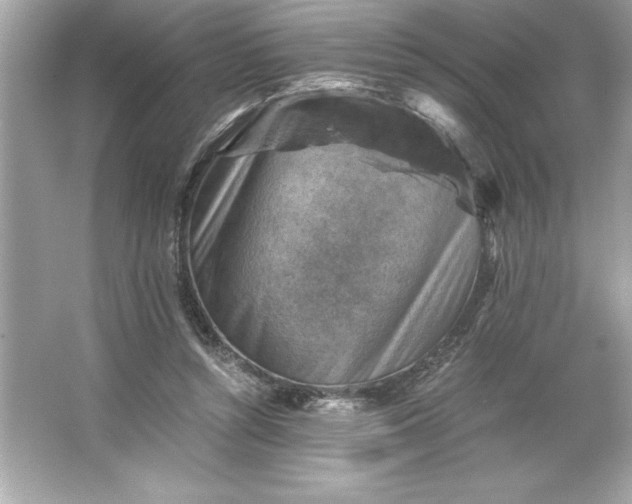 X0000066020352200603171538