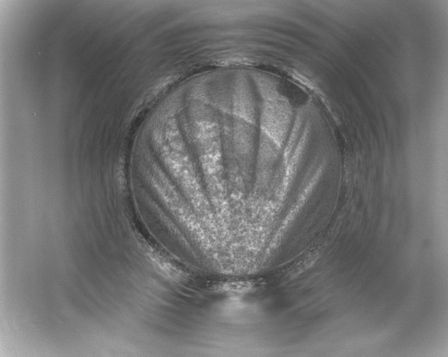 X0000066020353200603171538