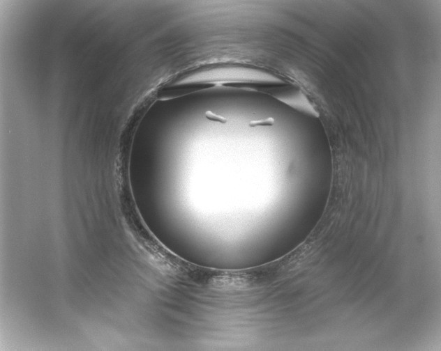 X0000066020354200603171538