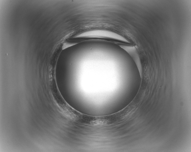 X0000066020356200603171538