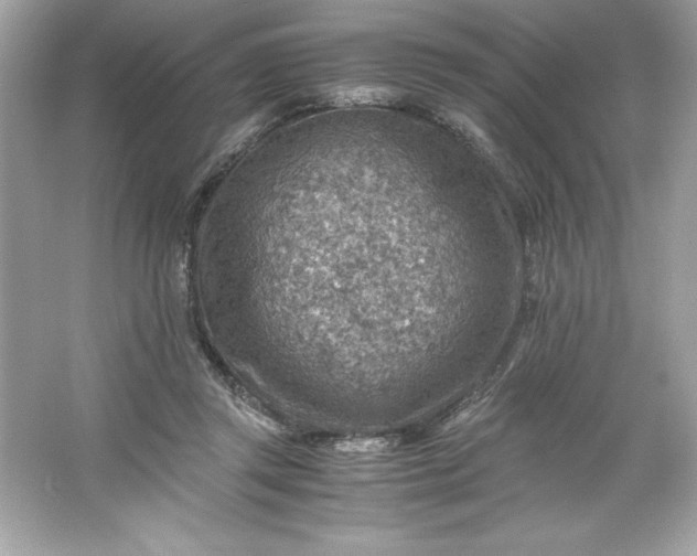 X0000066020357200603171538