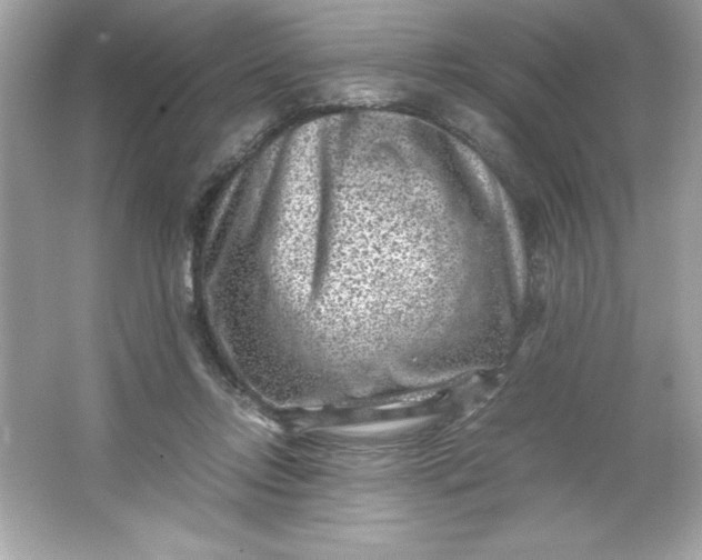 X0000066020358200603171538