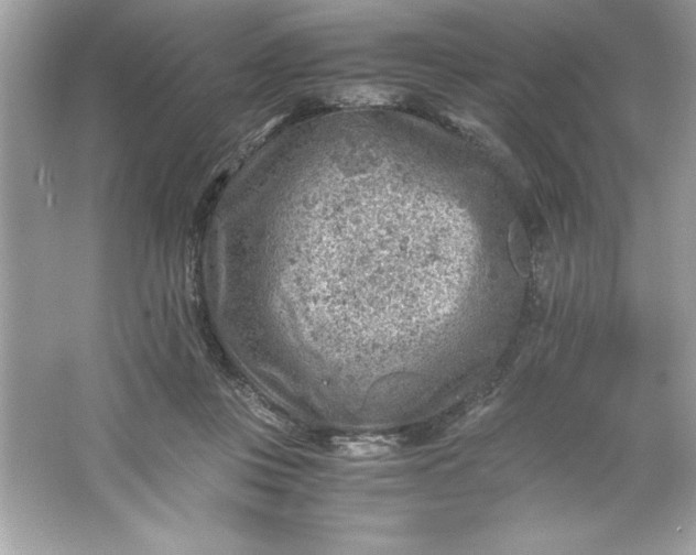 X0000066020359200603171538