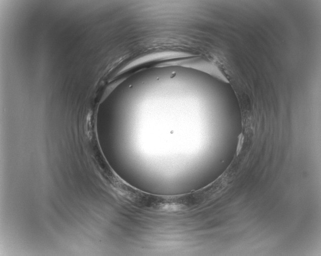 X0000066020360200603171538