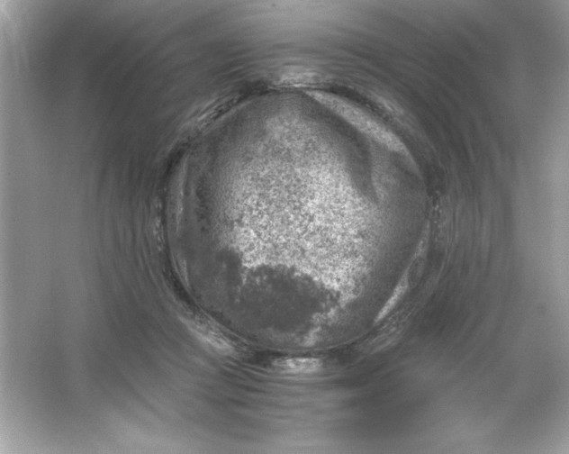 X0000066020361200603171538