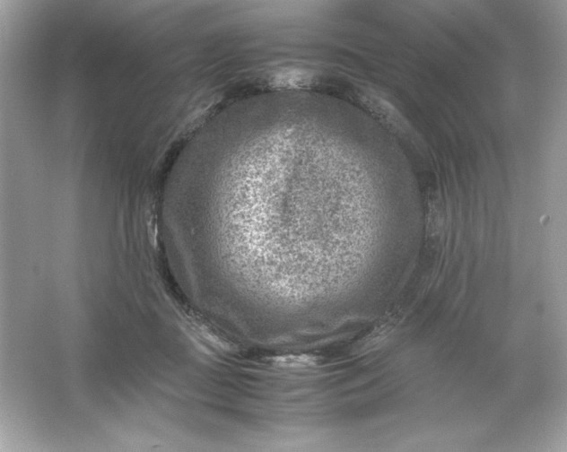 X0000066020363200603171538