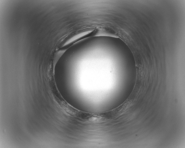 X0000066020364200603171538