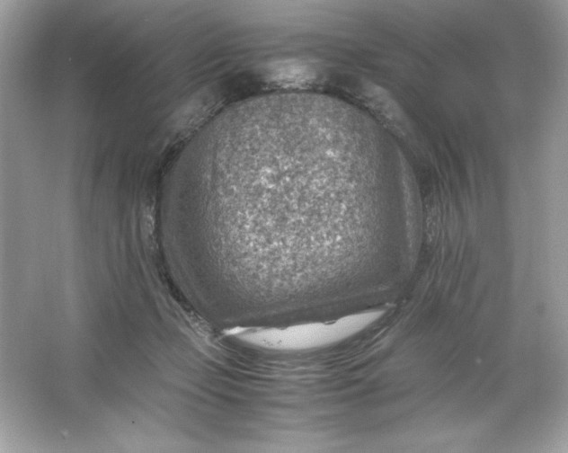 X0000066020365200603171538