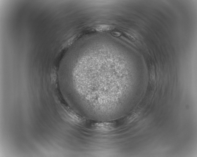 X0000066020367200603171538