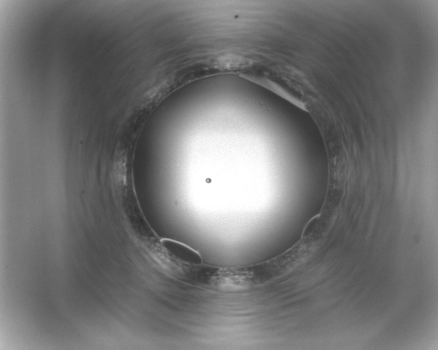 X0000066020368200603171538