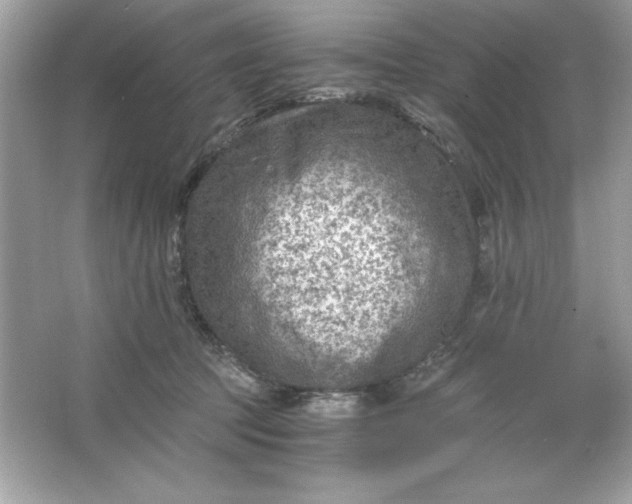 X0000066020369200603171538