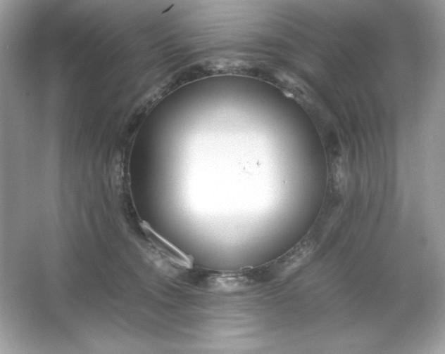 X0000066020372200603171538