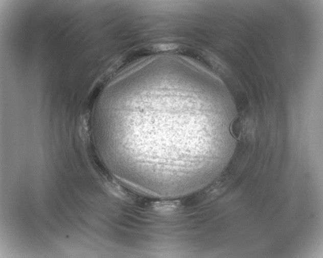 X0000066020373200603171538