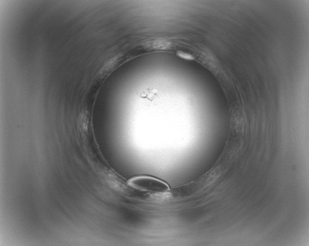 X0000066020374200603171538