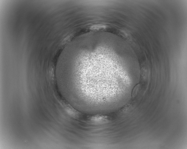 X0000066020375200603171538