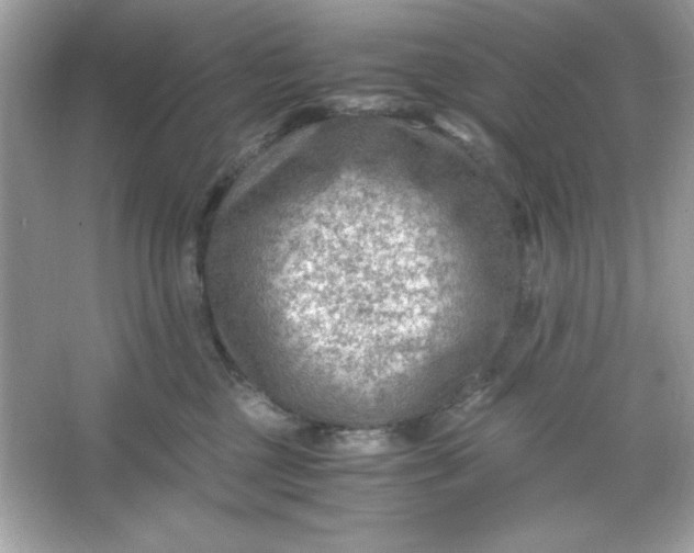 X0000066020377200603171538