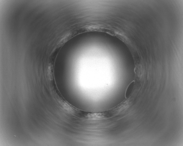 X0000066020378200603171538