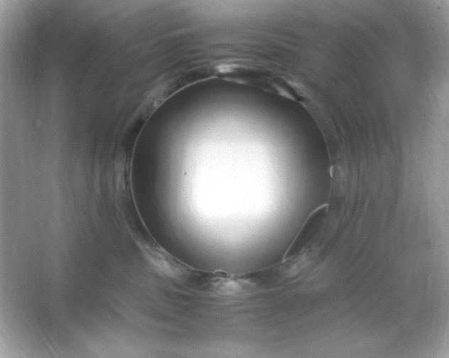 X0000066020379200603171538