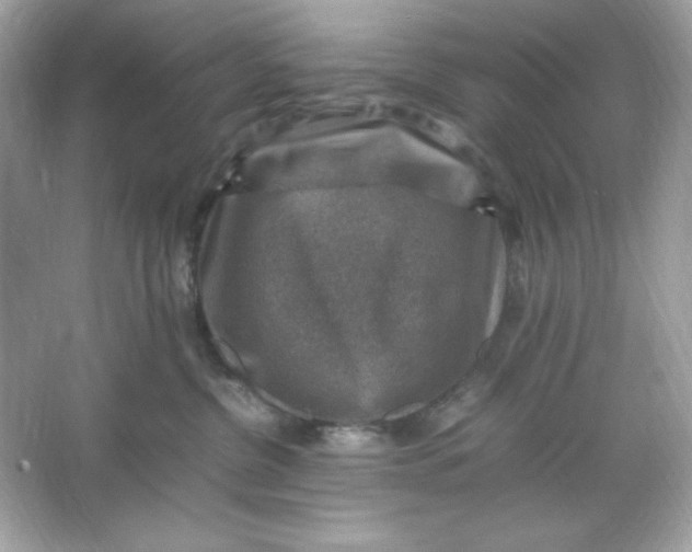 X0000066020380200603171538