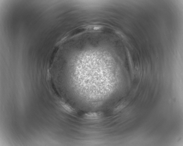 X0000066020381200603171538