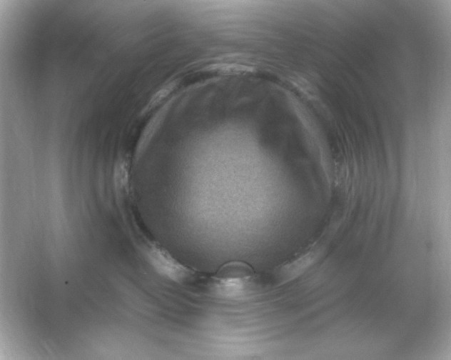 X0000066020382200603171538