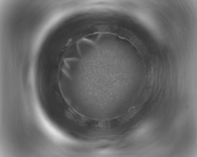 X0000066020383200603171538