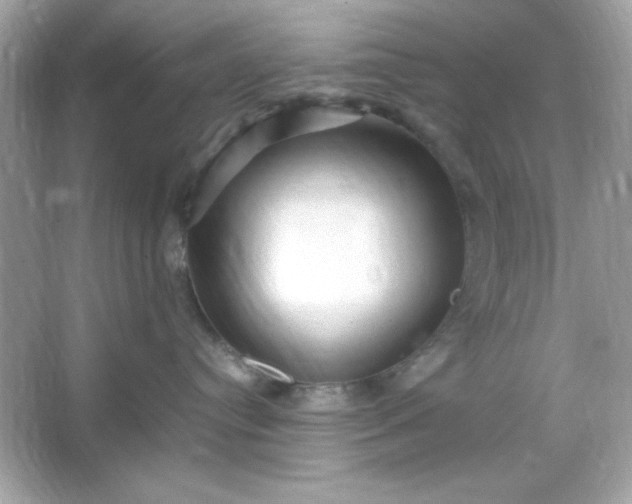 X0000066020384200603171538