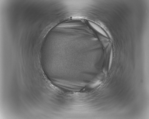 X0000066020385200603171537