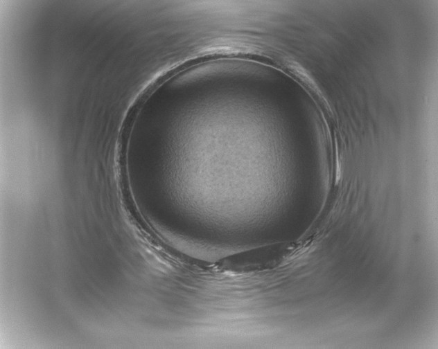 X0000066020387200603171537