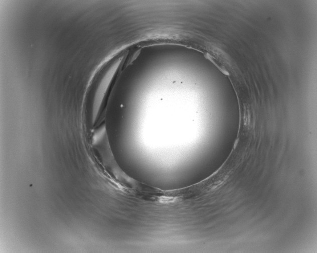 X0000066020388200603171537