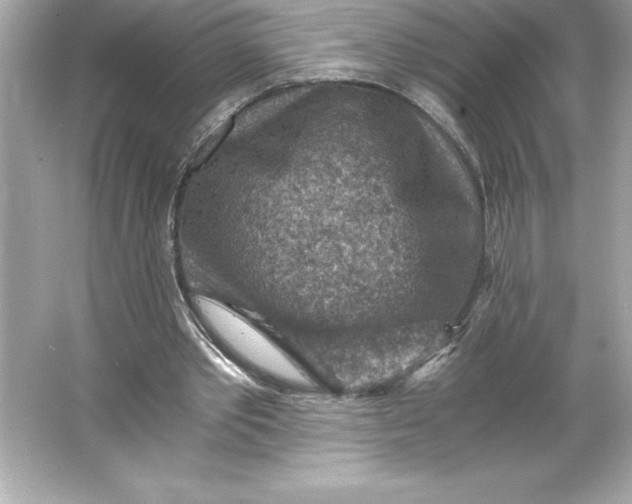 X0000066020389200603171537