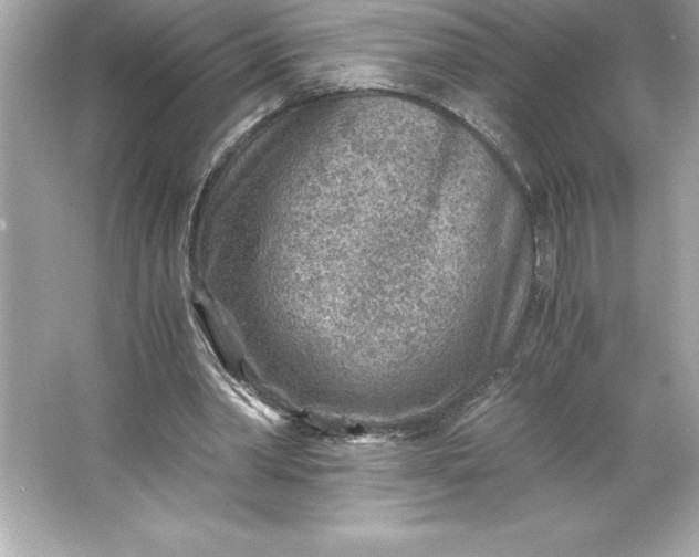 X0000066020390200603171537