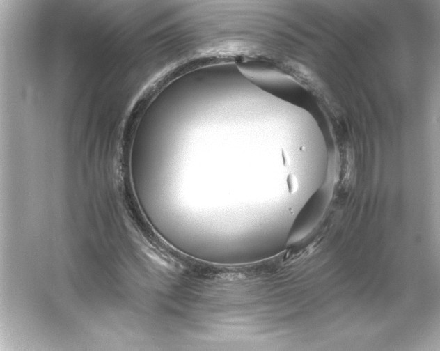 X0000066020392200603171537