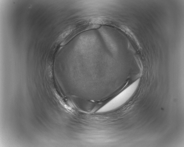 X0000066020393200603171537