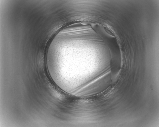 X0000066020394200603171537