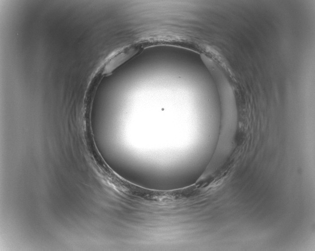 X0000066020395200603171537