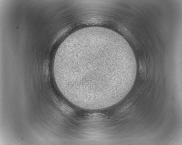 X0000066020396200603171537