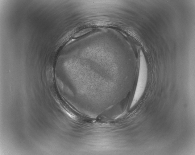 X0000066020397200603171537