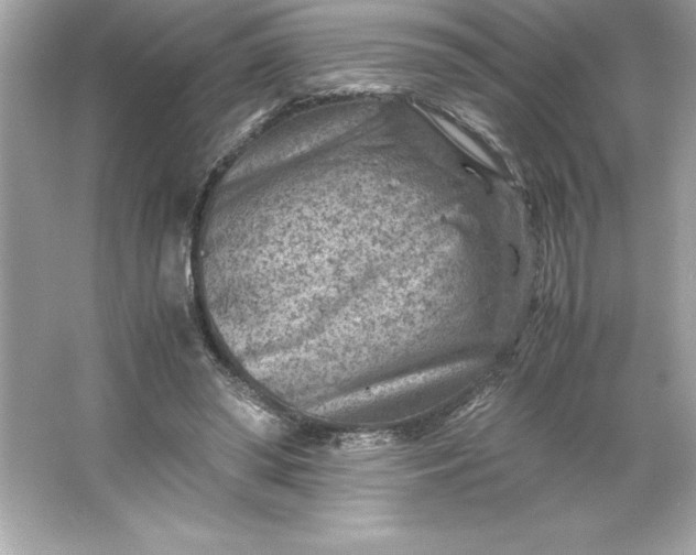 X0000066020398200603171537