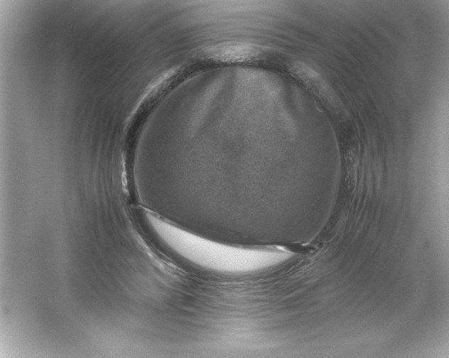 X0000066020400200603171537