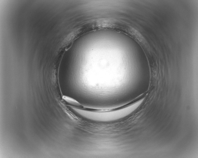 X0000066020401200603171537