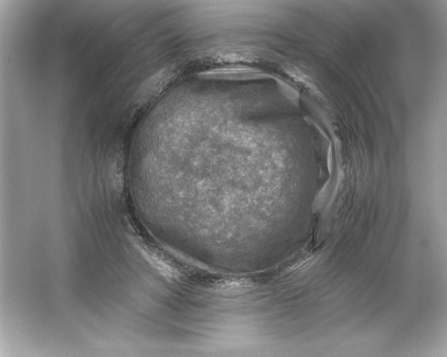 X0000066020402200603171537