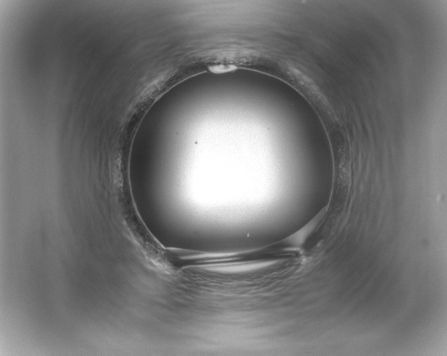 X0000066020403200603171537