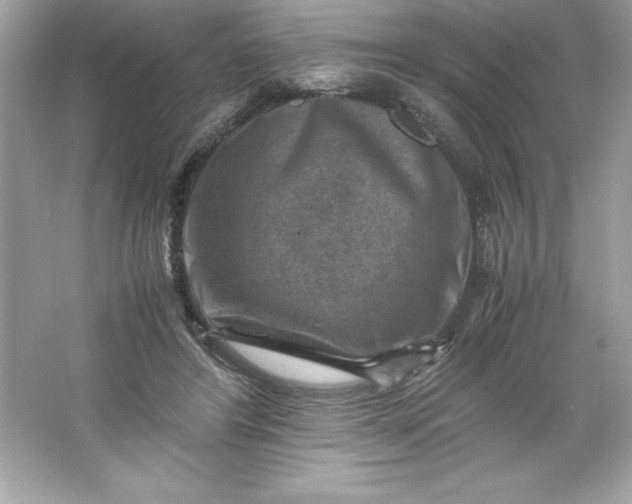 X0000066020404200603171537