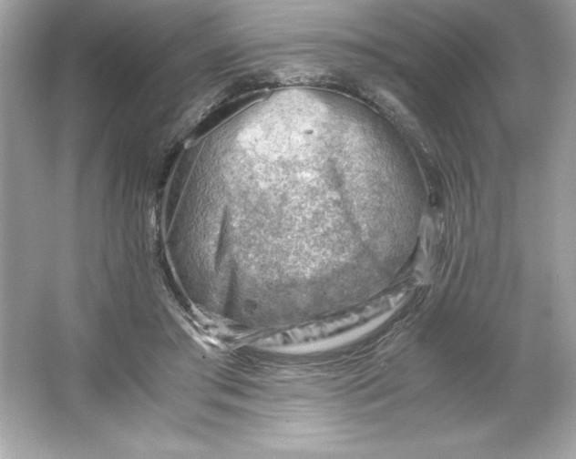 X0000066020405200603171537