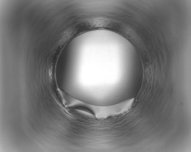 X0000066020406200603171537