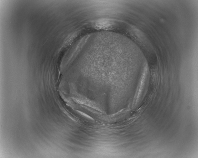 X0000066020408200603171537